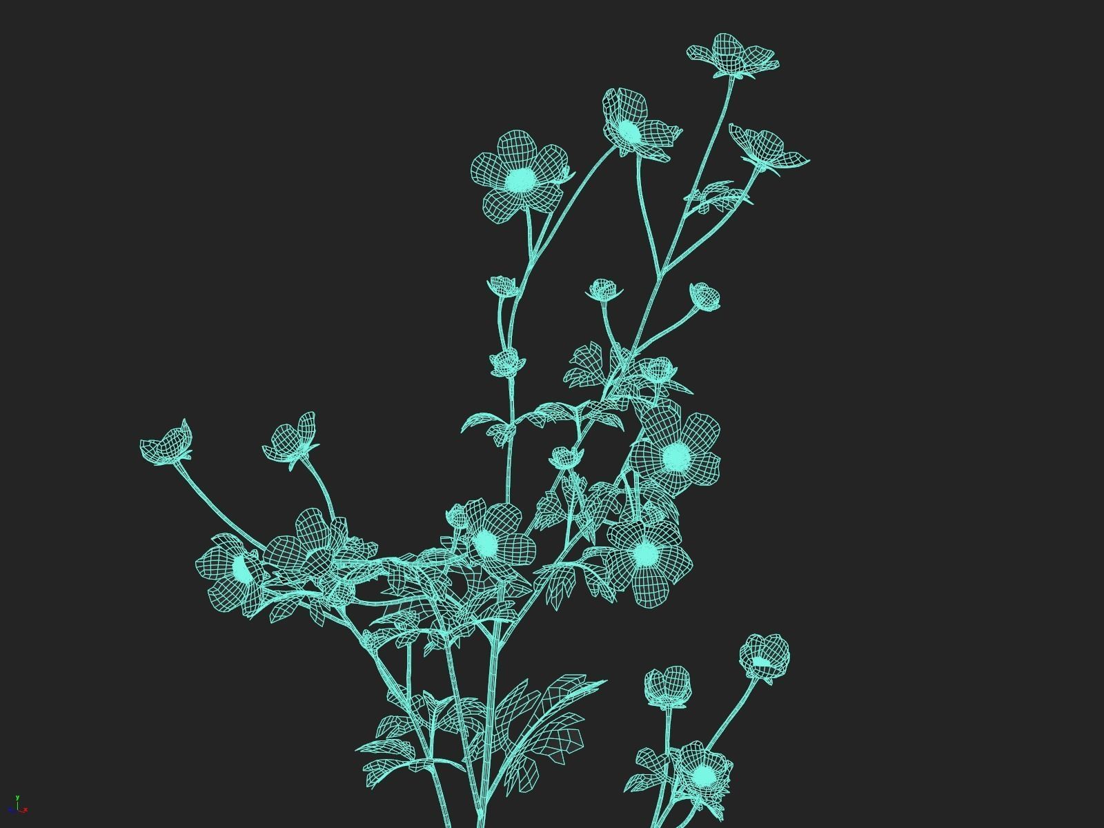Buttercups Bundle 3D model_4