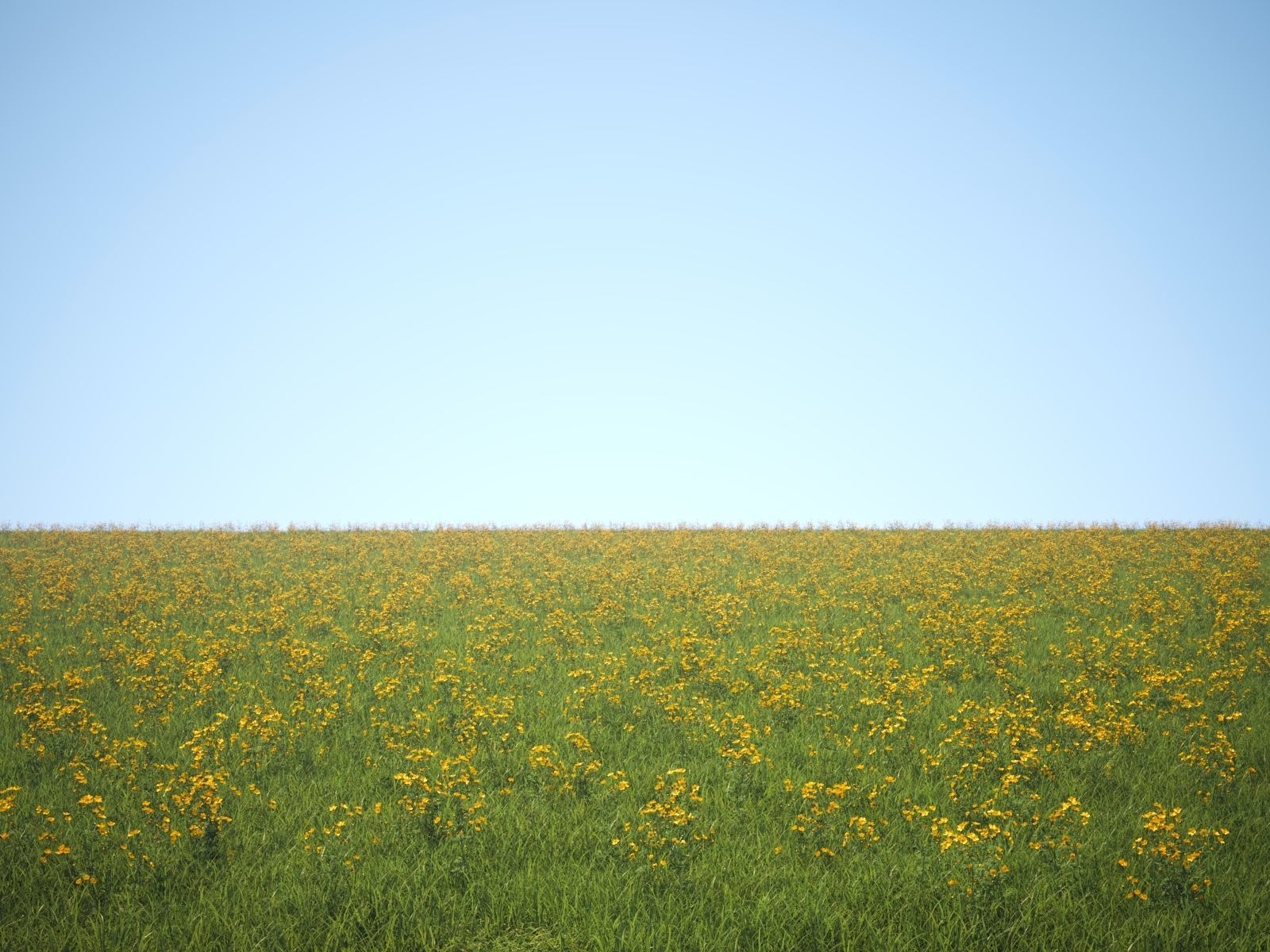 Buttercups Bundle 3D model_7