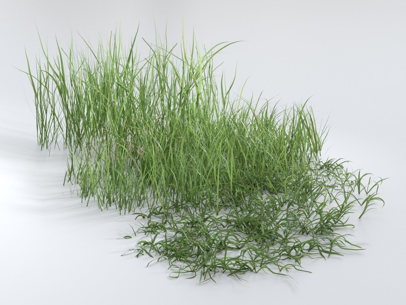 Grass Patches Green Meadow 3D model_4