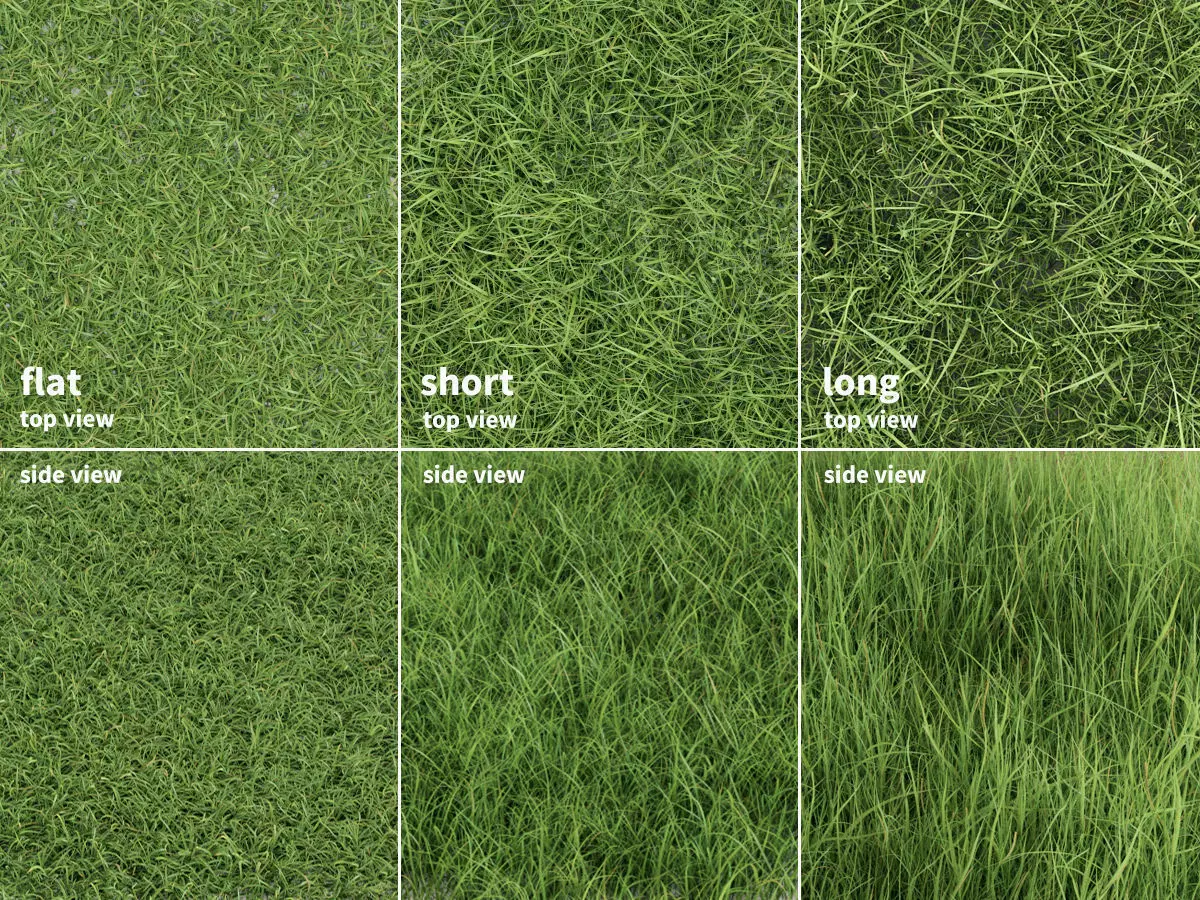 Grass Patches Green Meadow 3D model_0