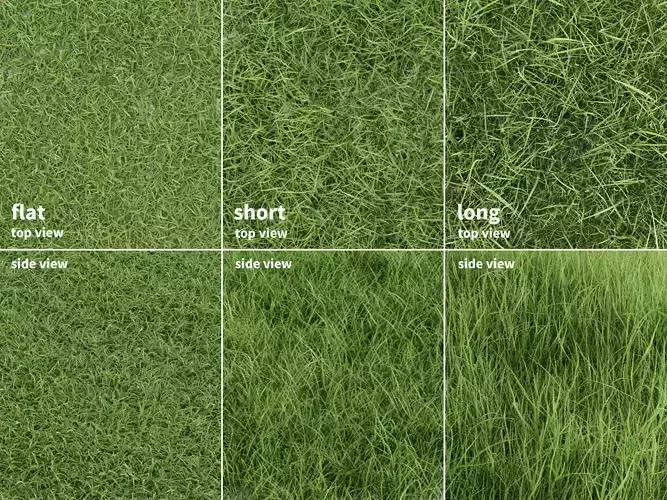 Grass Patches Green Meadow 3D model