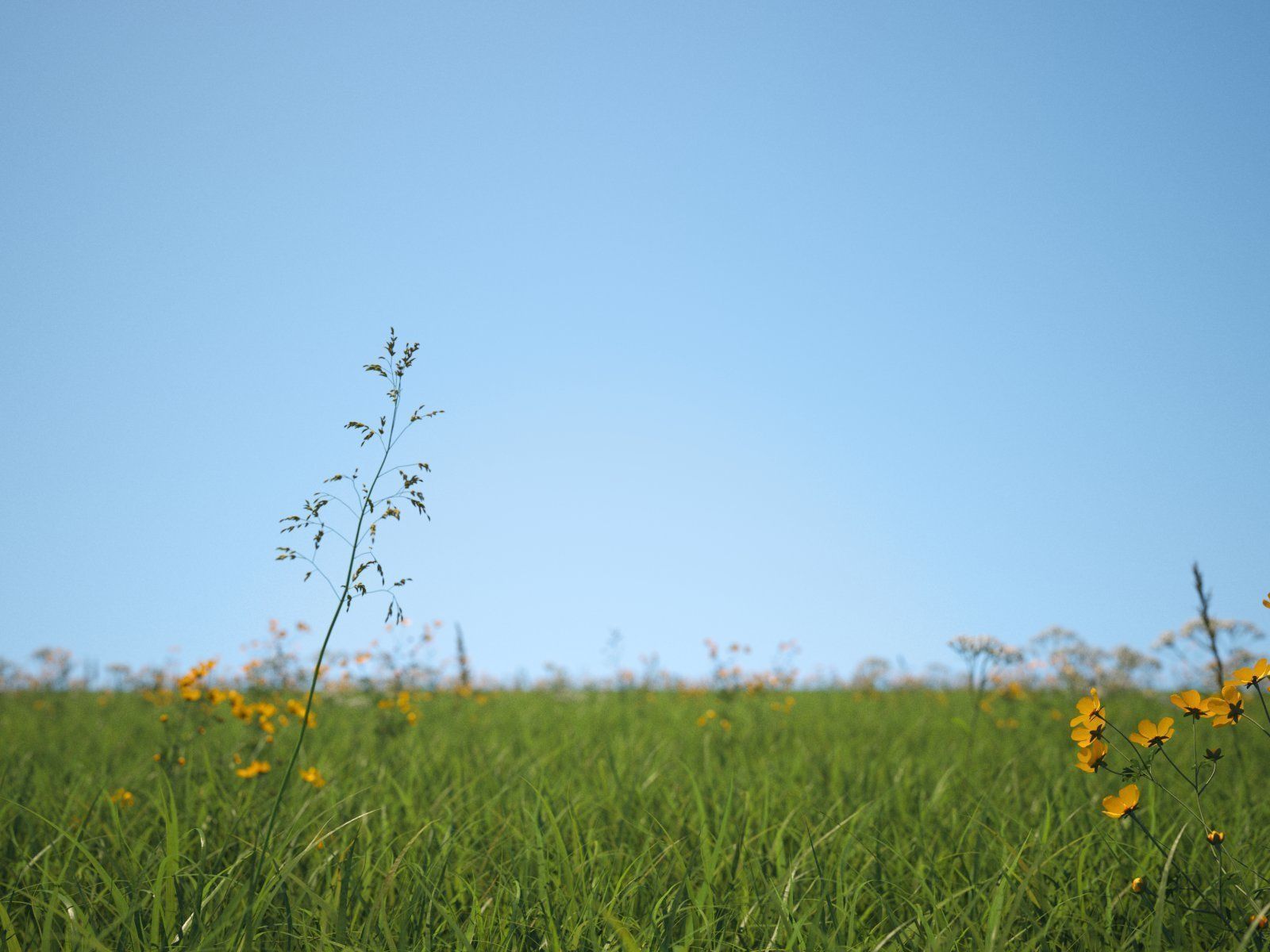 Grass Patches Green Meadow 3D model_10