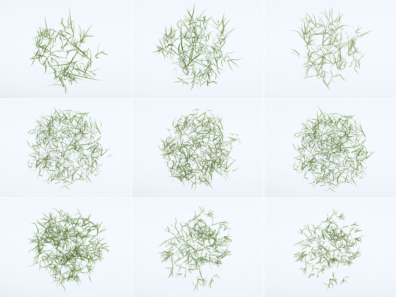 Wildflower Meadow 34-Piece Bundle 3D model_8