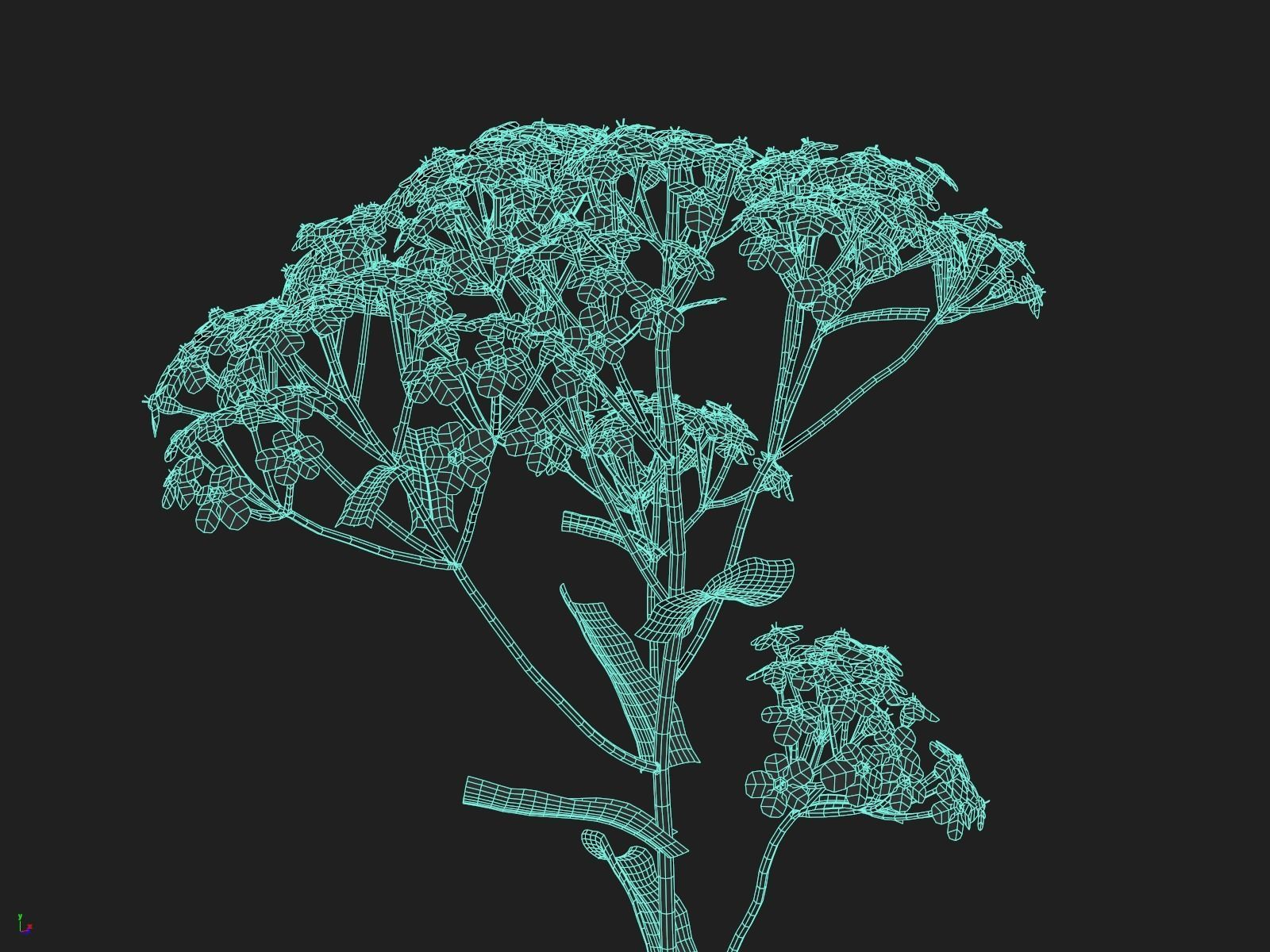 Wildflower Meadow 34-Piece Bundle 3D model_30