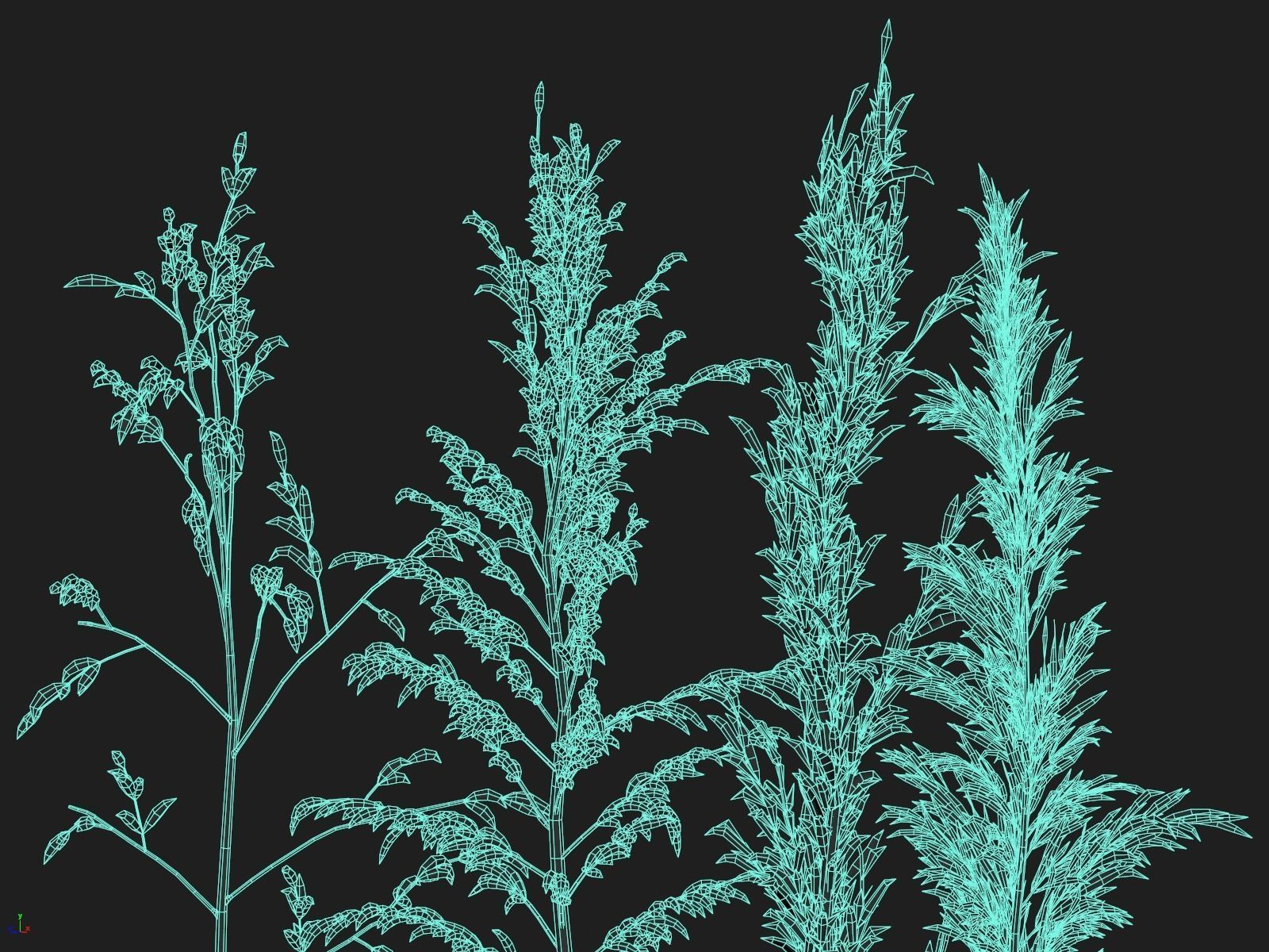 Wildflower Meadow 34-Piece Bundle 3D model_32