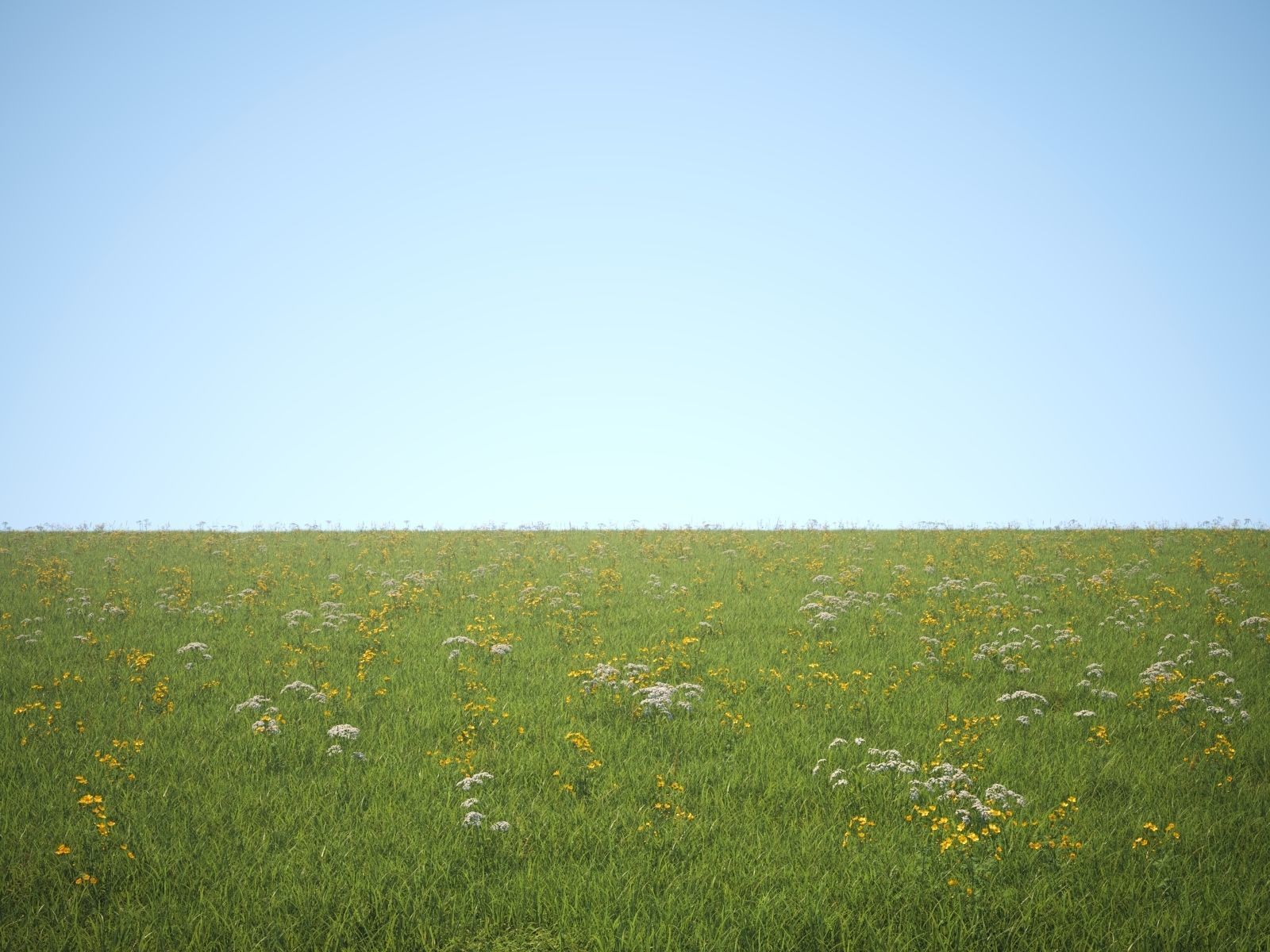 Wildflower Meadow 34-Piece Bundle 3D model_21