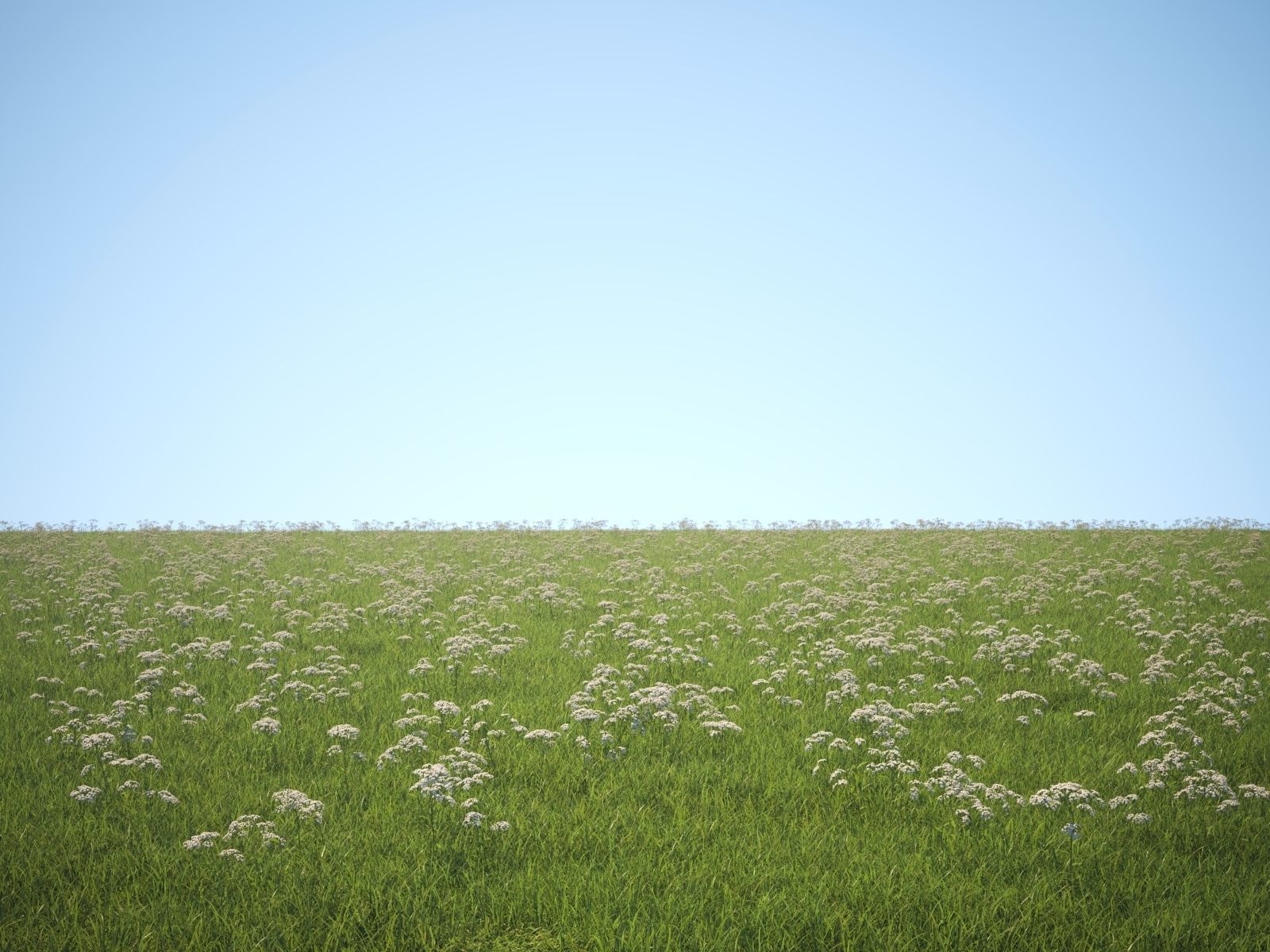 Wildflower Meadow 34-Piece Bundle 3D model_23