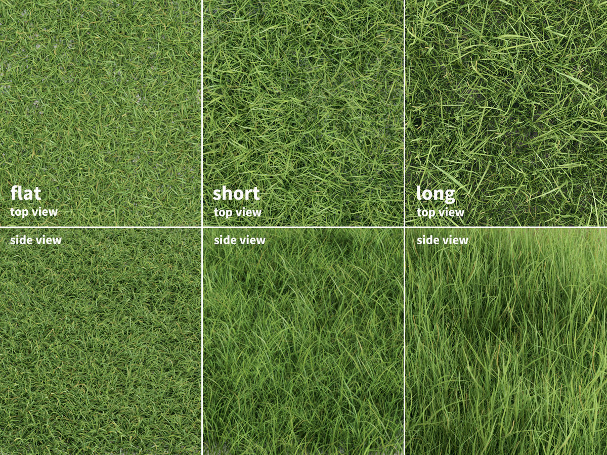 Wildflower Meadow 34-Piece Bundle 3D model_2