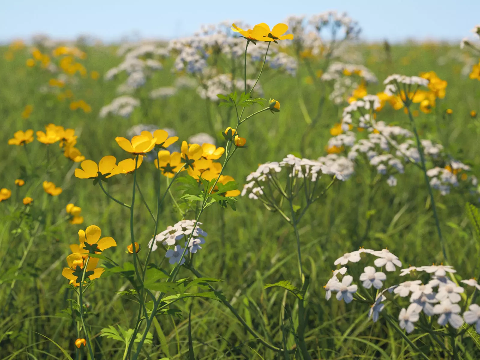 Wildflower Meadow 34-Piece Bundle 3D model_0