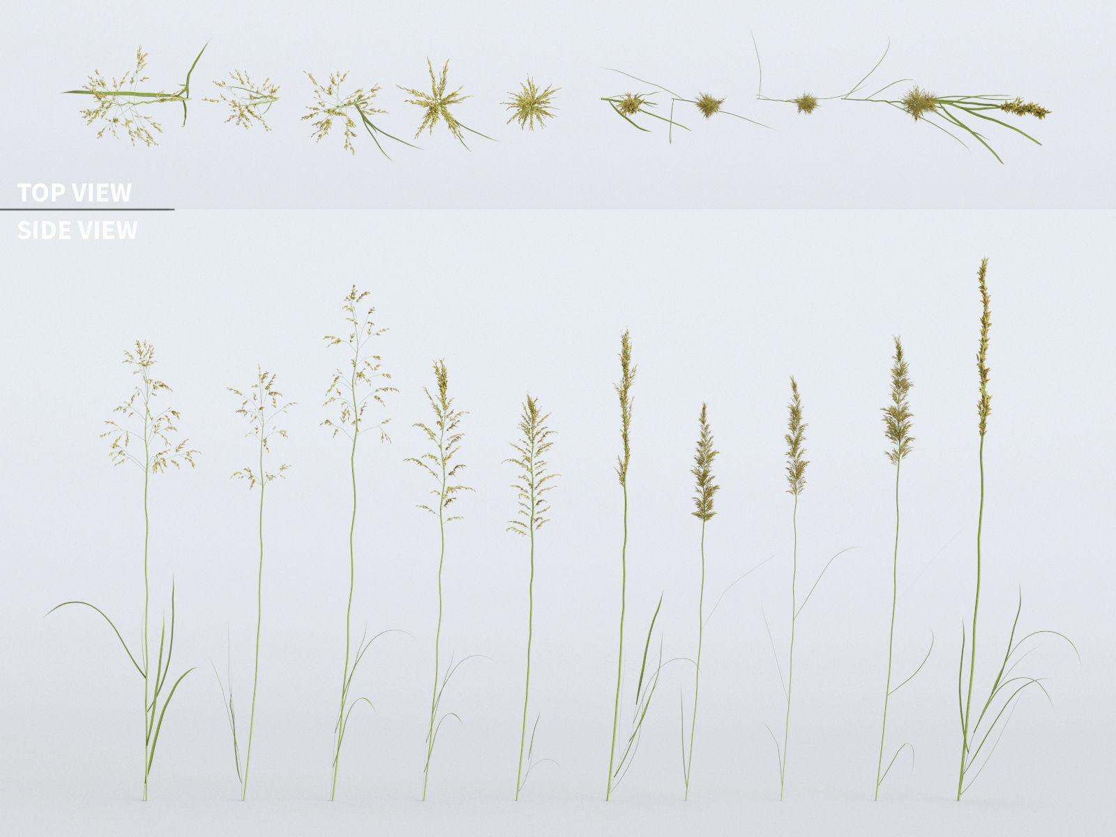 Wildflower Meadow 34-Piece Bundle 3D model_6