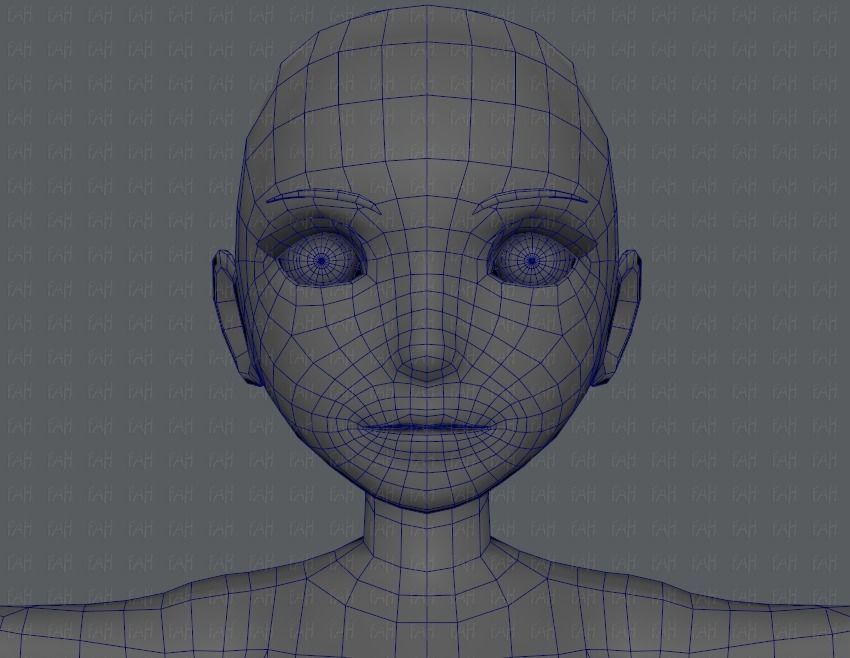 Base mesh woman 03 Low-poly 3D model_41