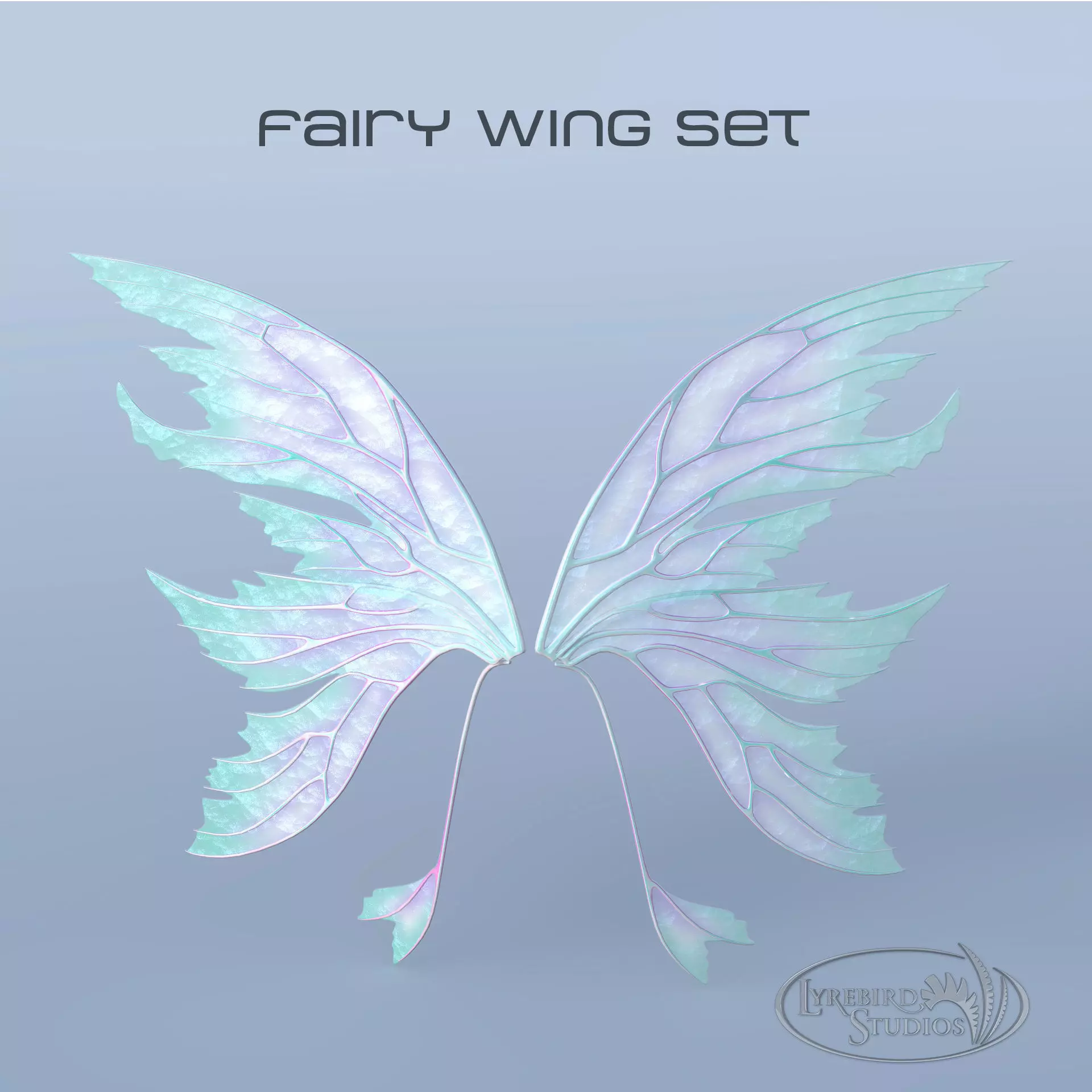 Fairy or Butterfly Wing Set A 3D model_0