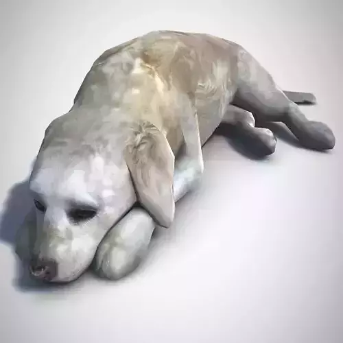 Static Golden Retriever