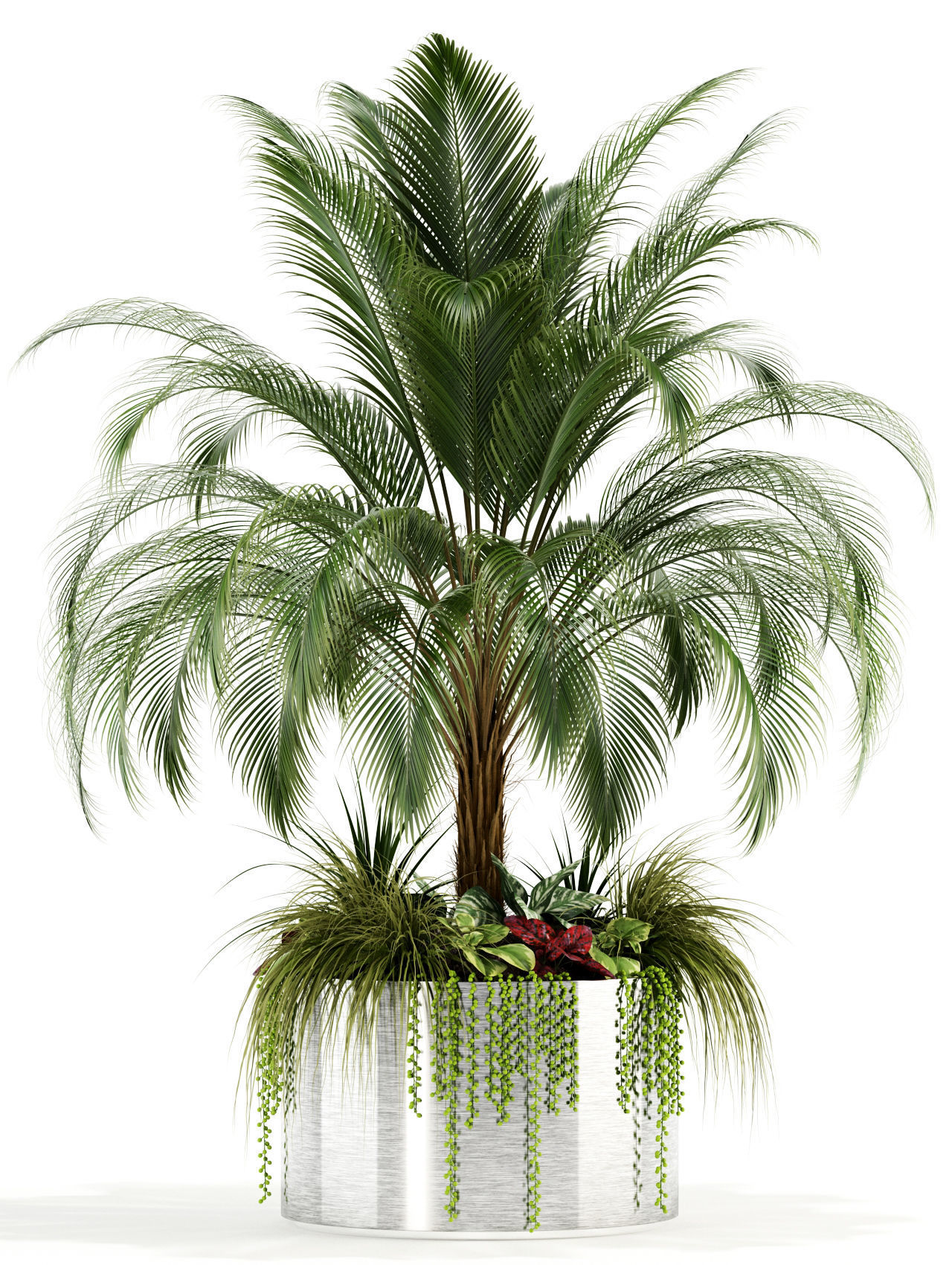 Plants collection 104 3D model_1