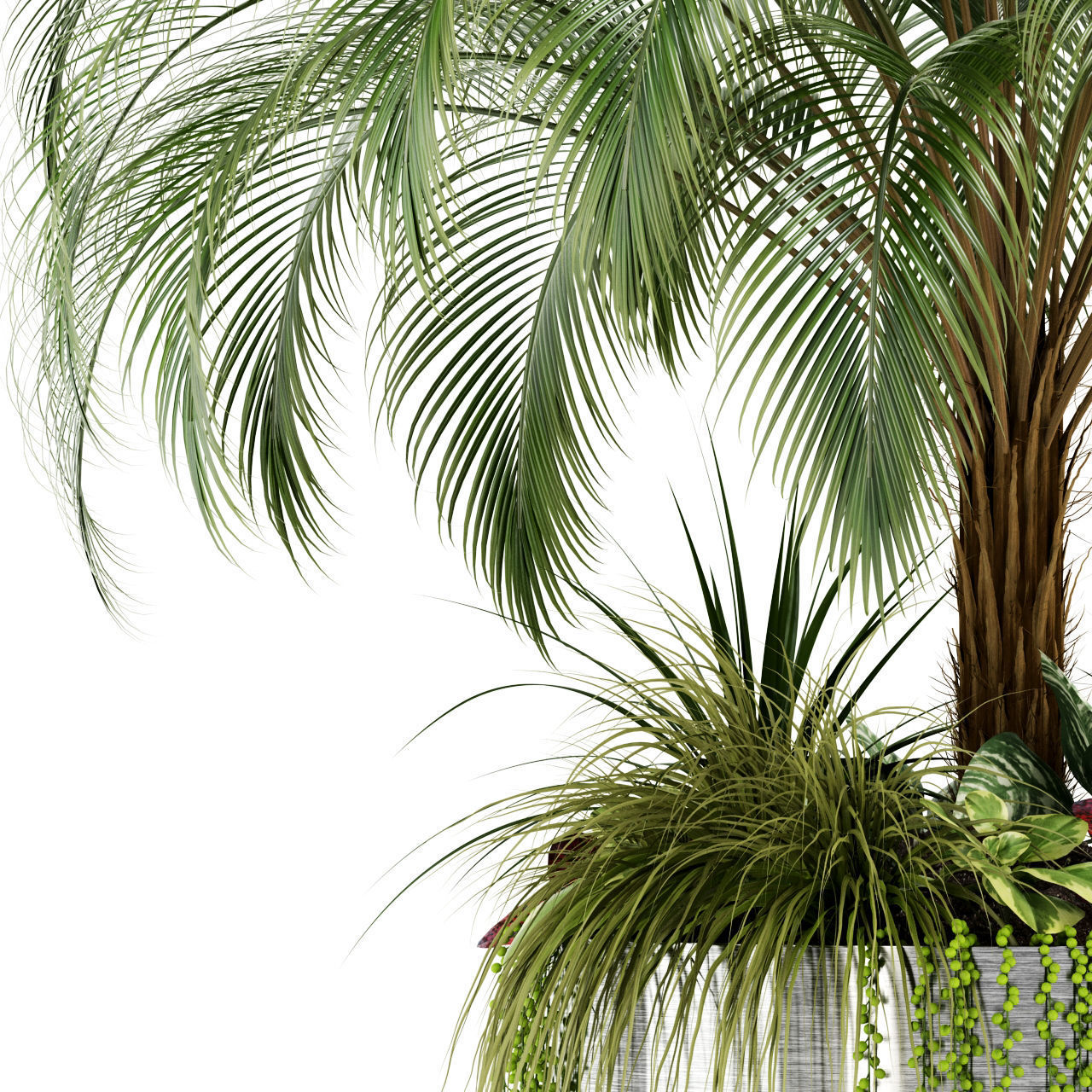 Plants collection 104 3D model_2