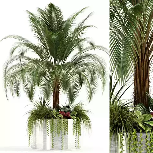 Plants collection 104 3D model