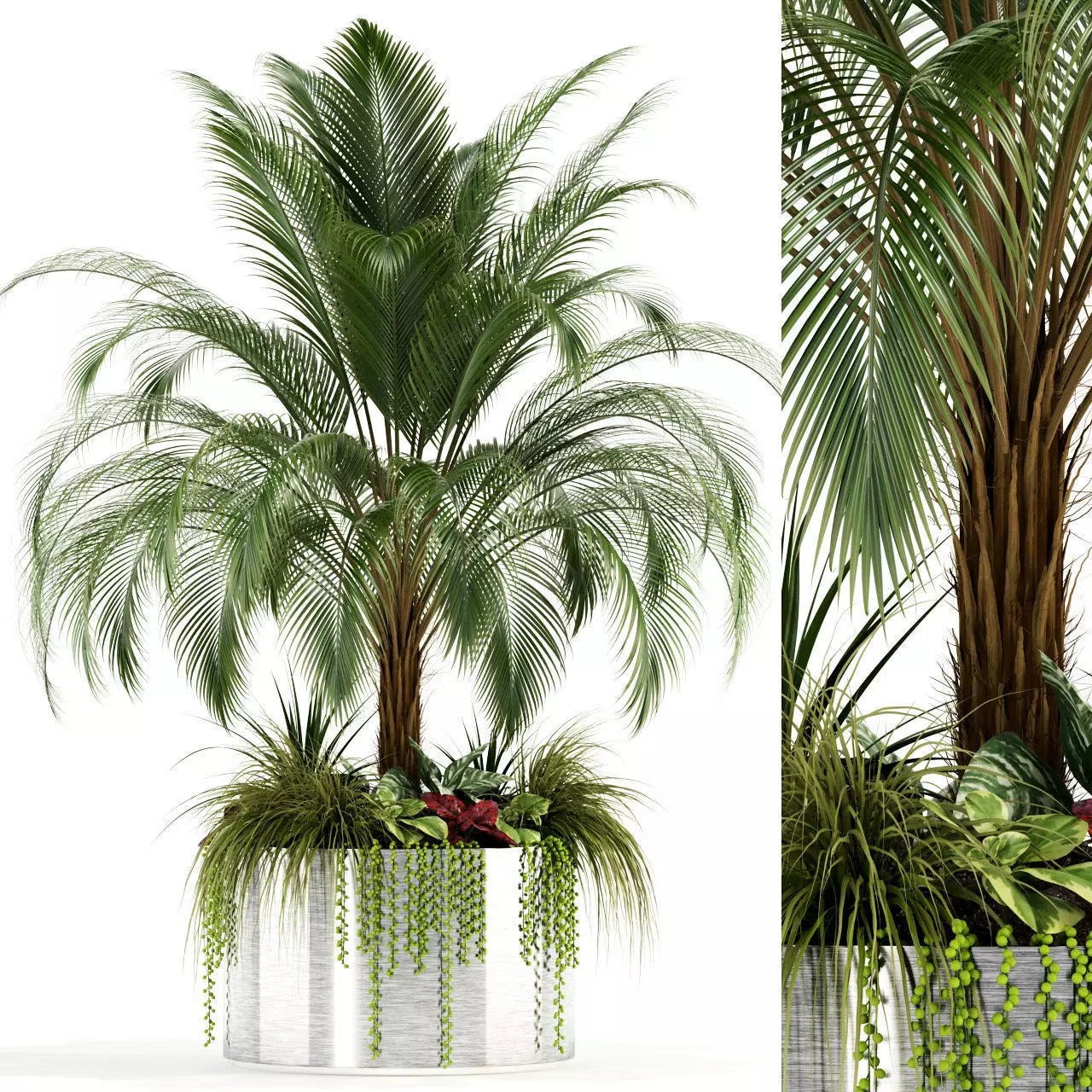 Plants collection 104 3D model_0