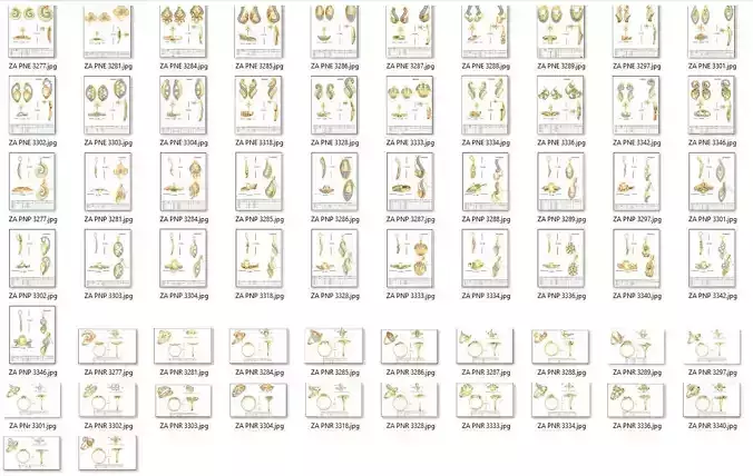 BULK-3DM-WithOut Gems-PENDANT SET 21 Files