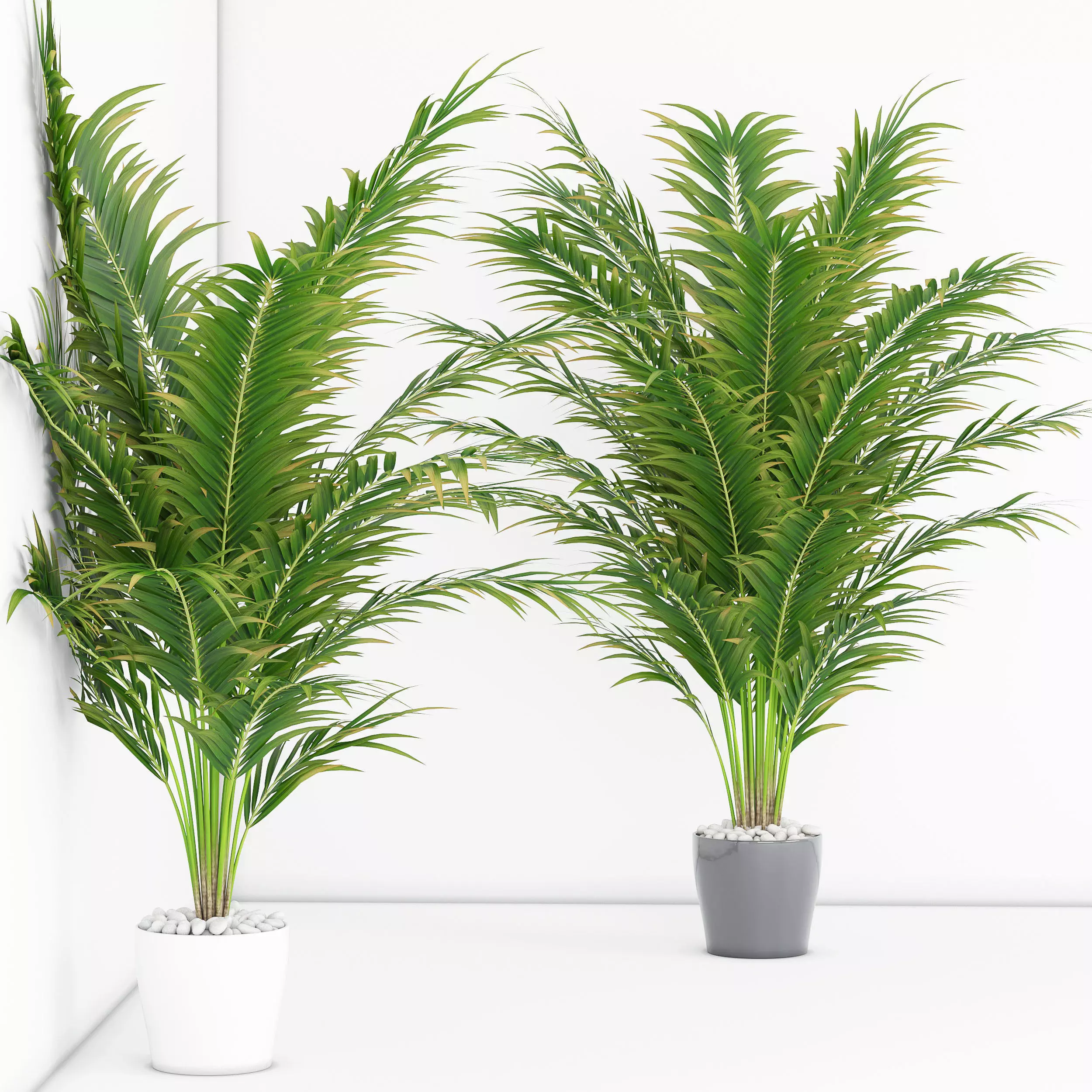 Houseplant 17  3D model_0