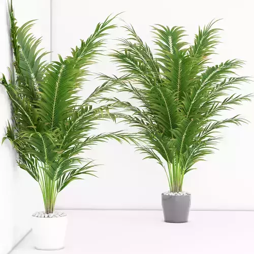 Houseplant 17  3D model