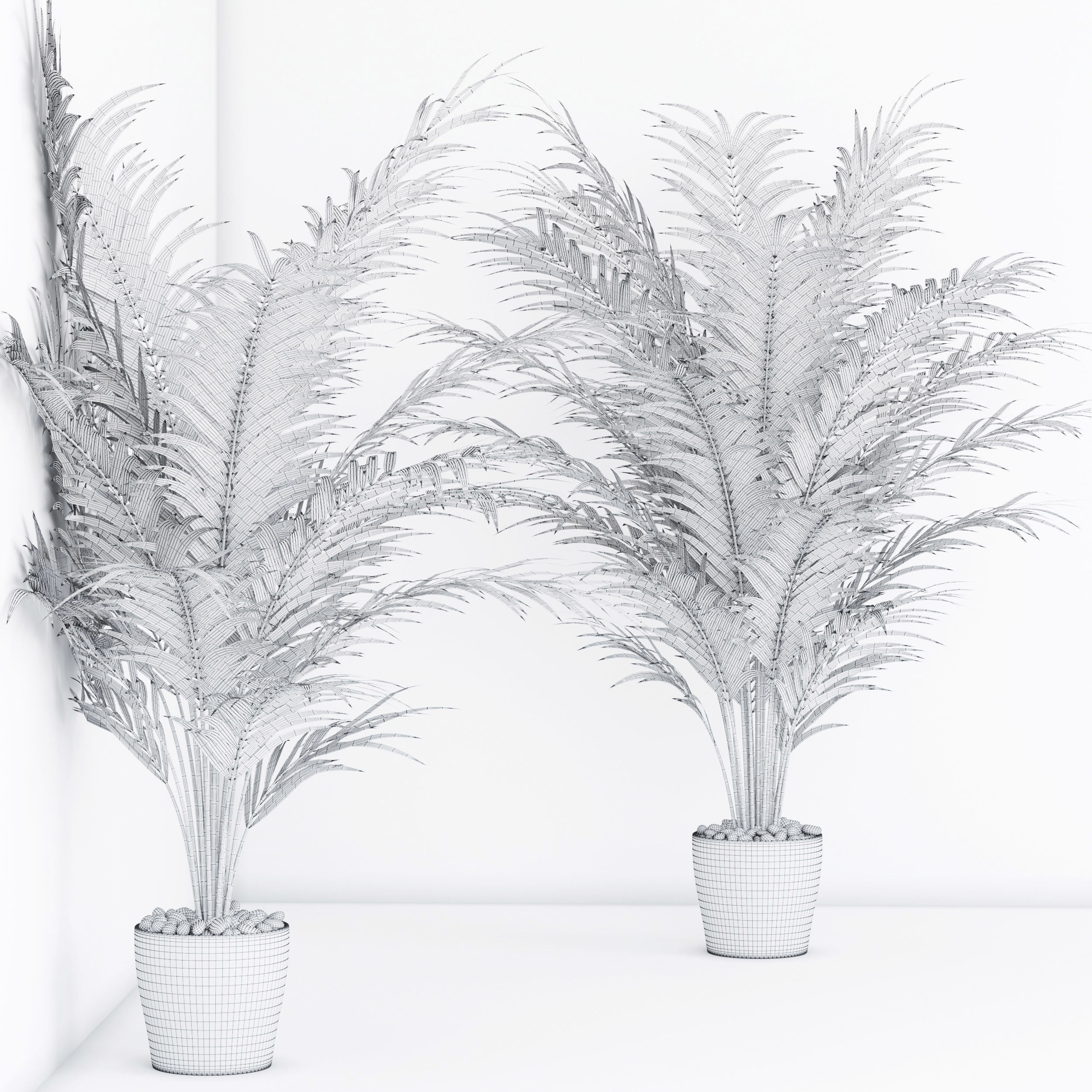 Houseplant 17  3D model_3