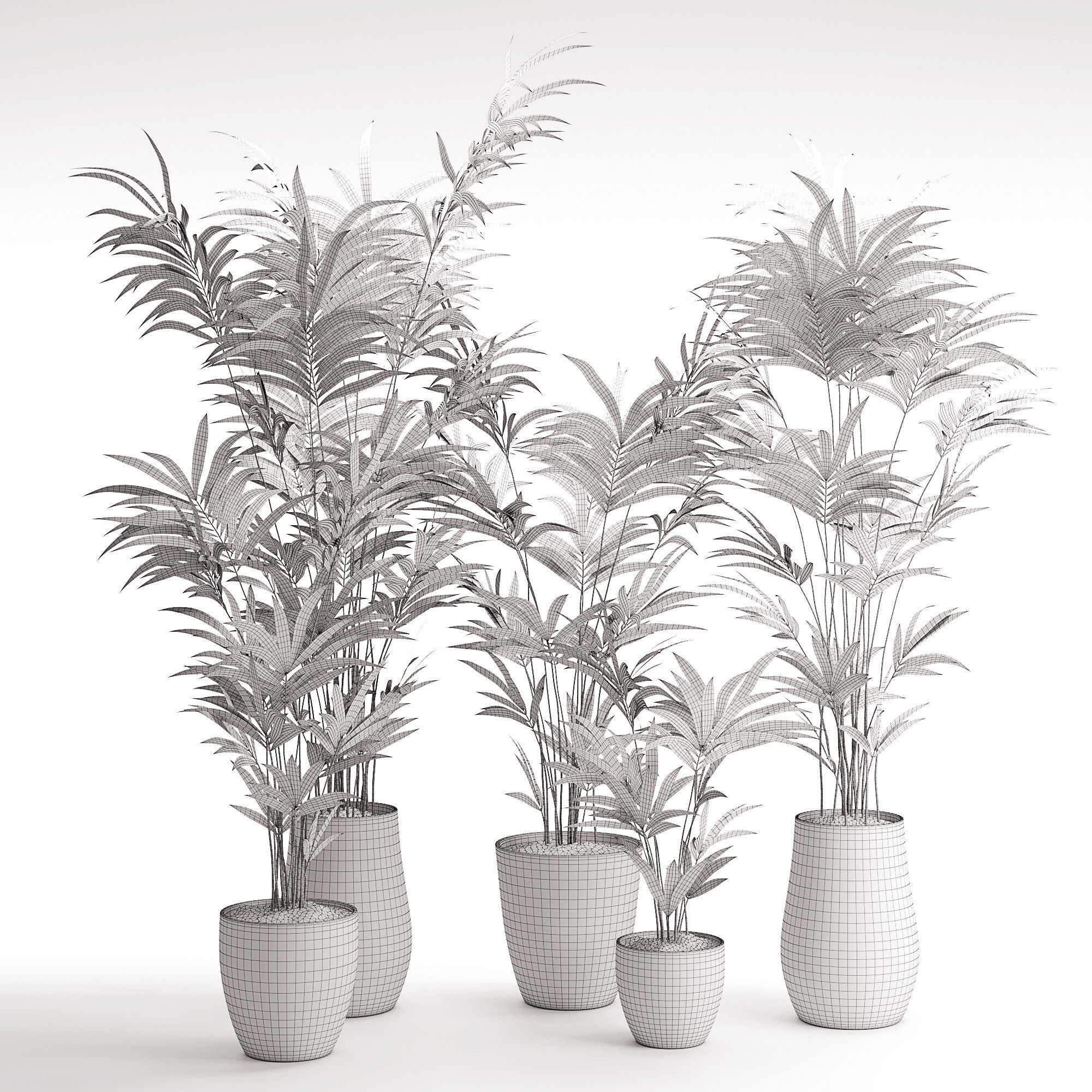 Houseplant 18 3D model_1