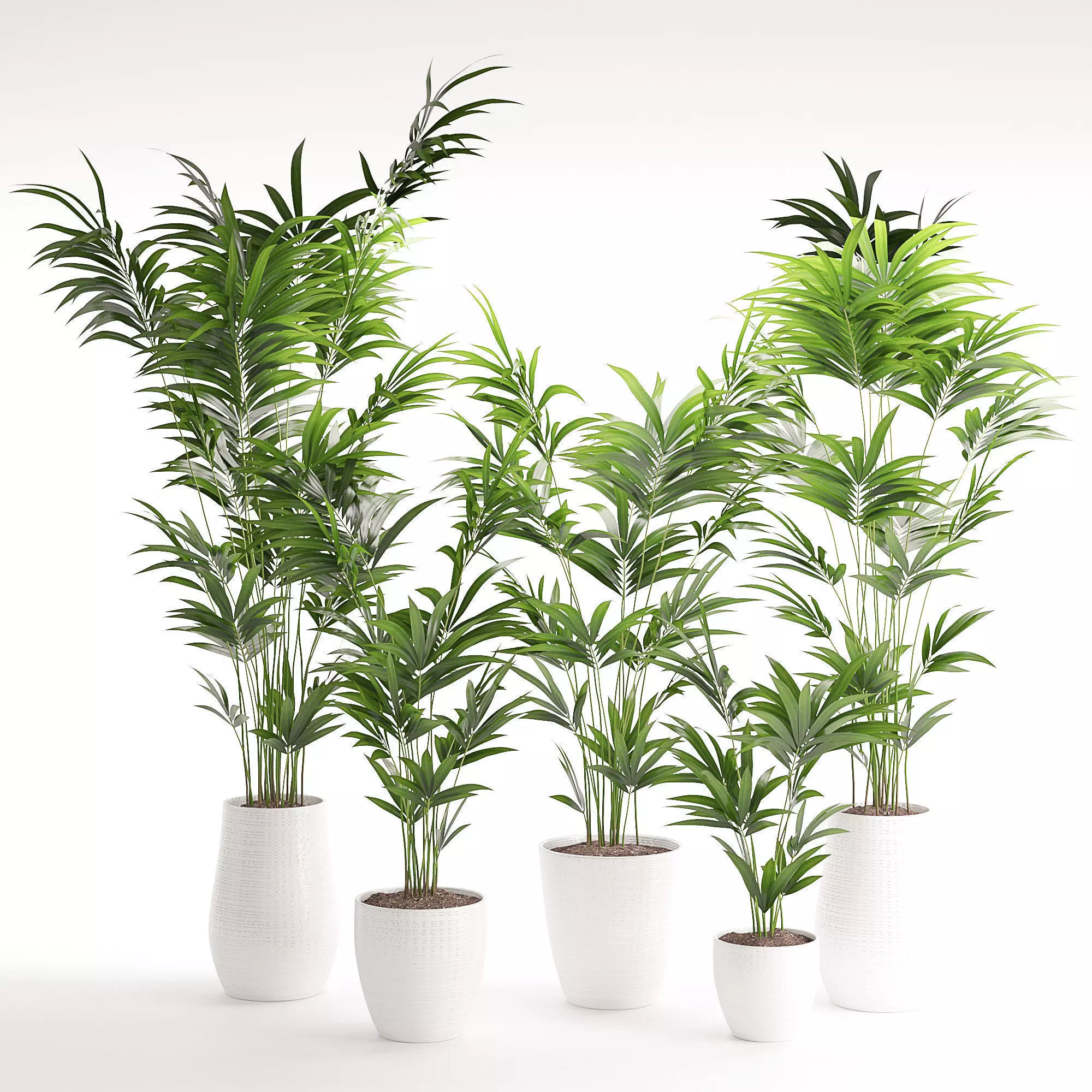 Houseplant 18 3D model_0