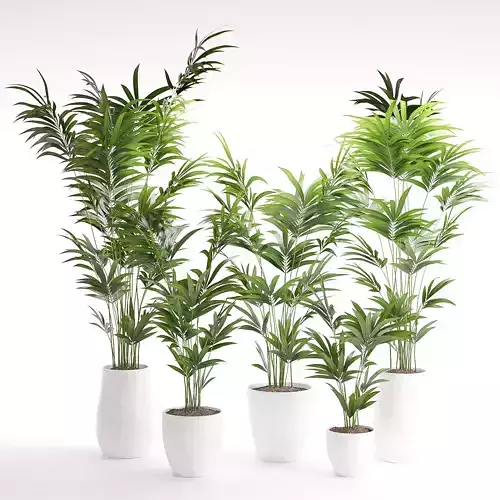 Houseplant 18 3D model