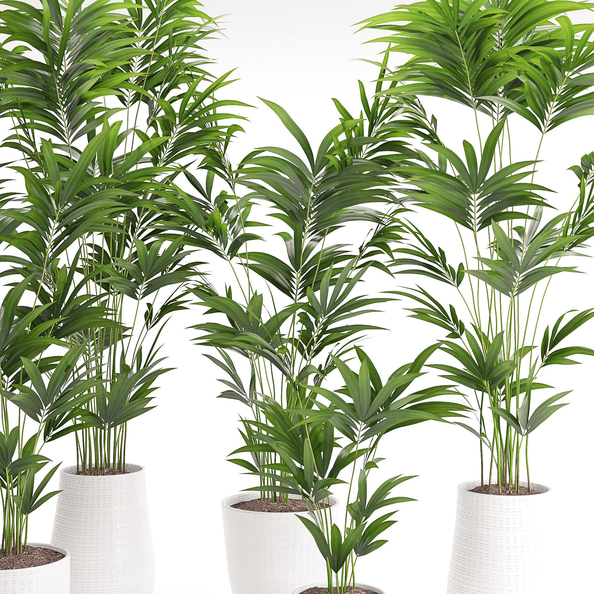 Houseplant 18 3D model_2