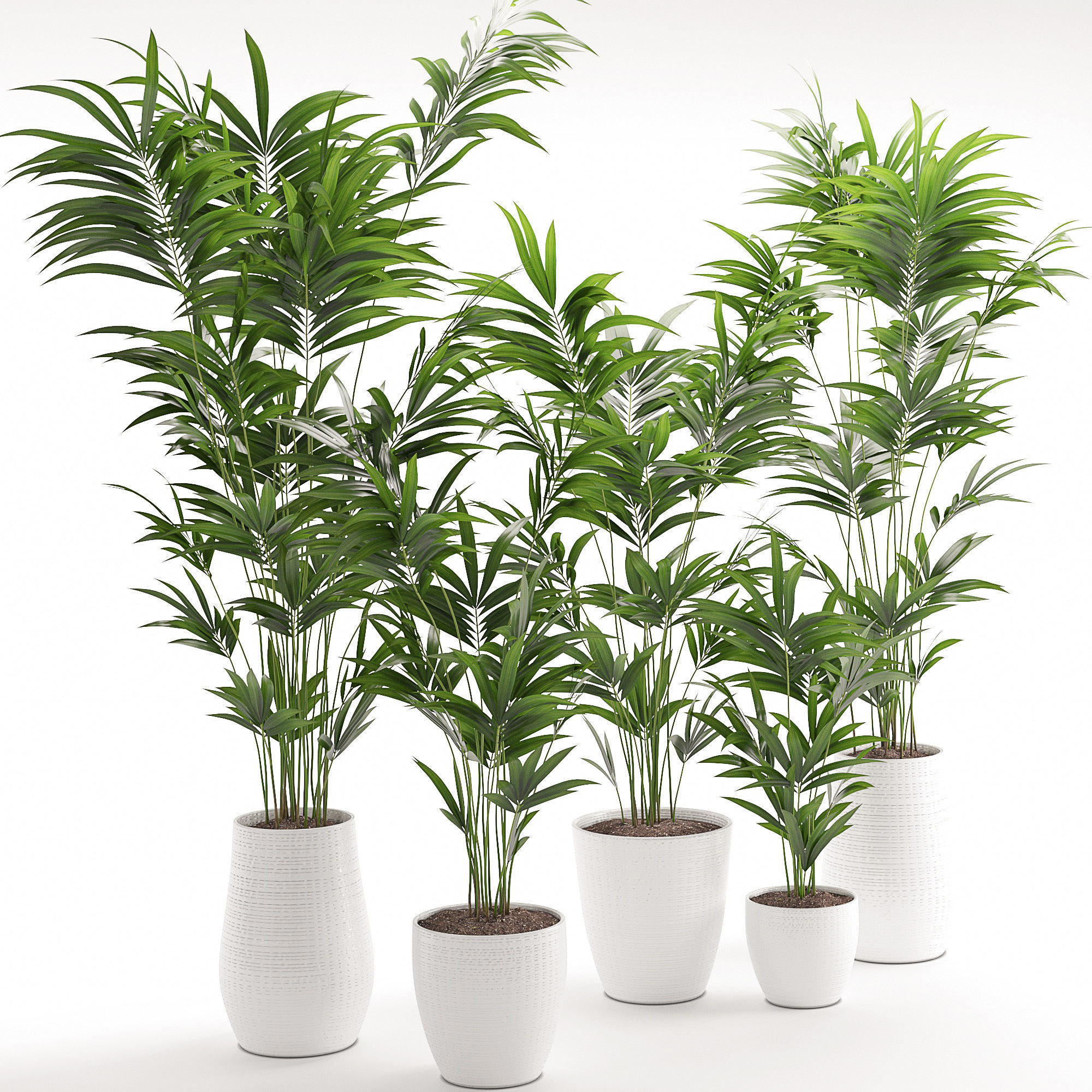 Houseplant 18 3D model_3