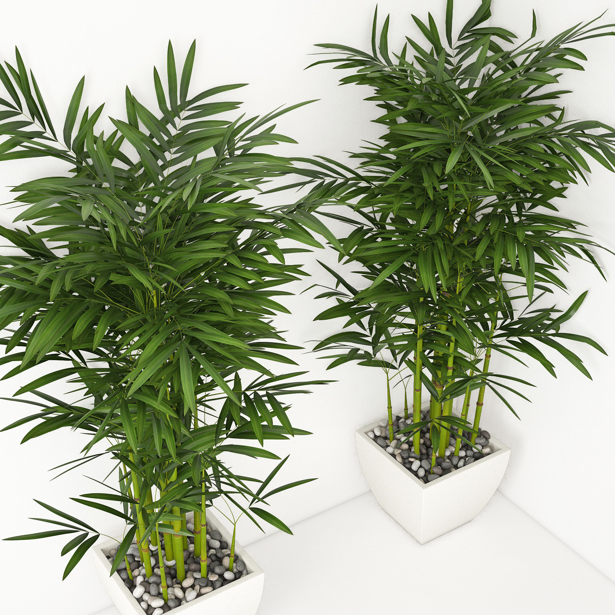 Houseplant 19 3D model_2