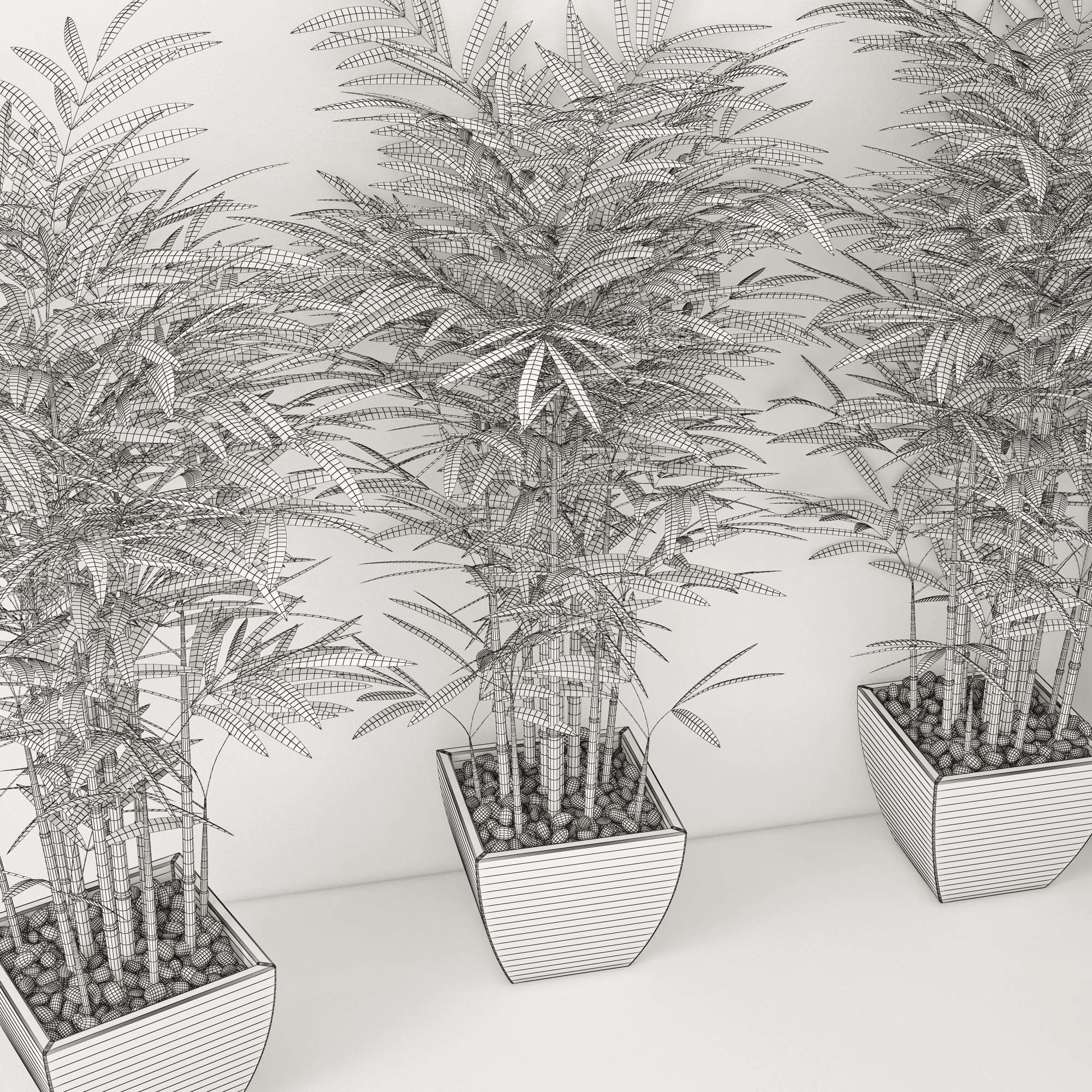 Houseplant 19 3D model_4
