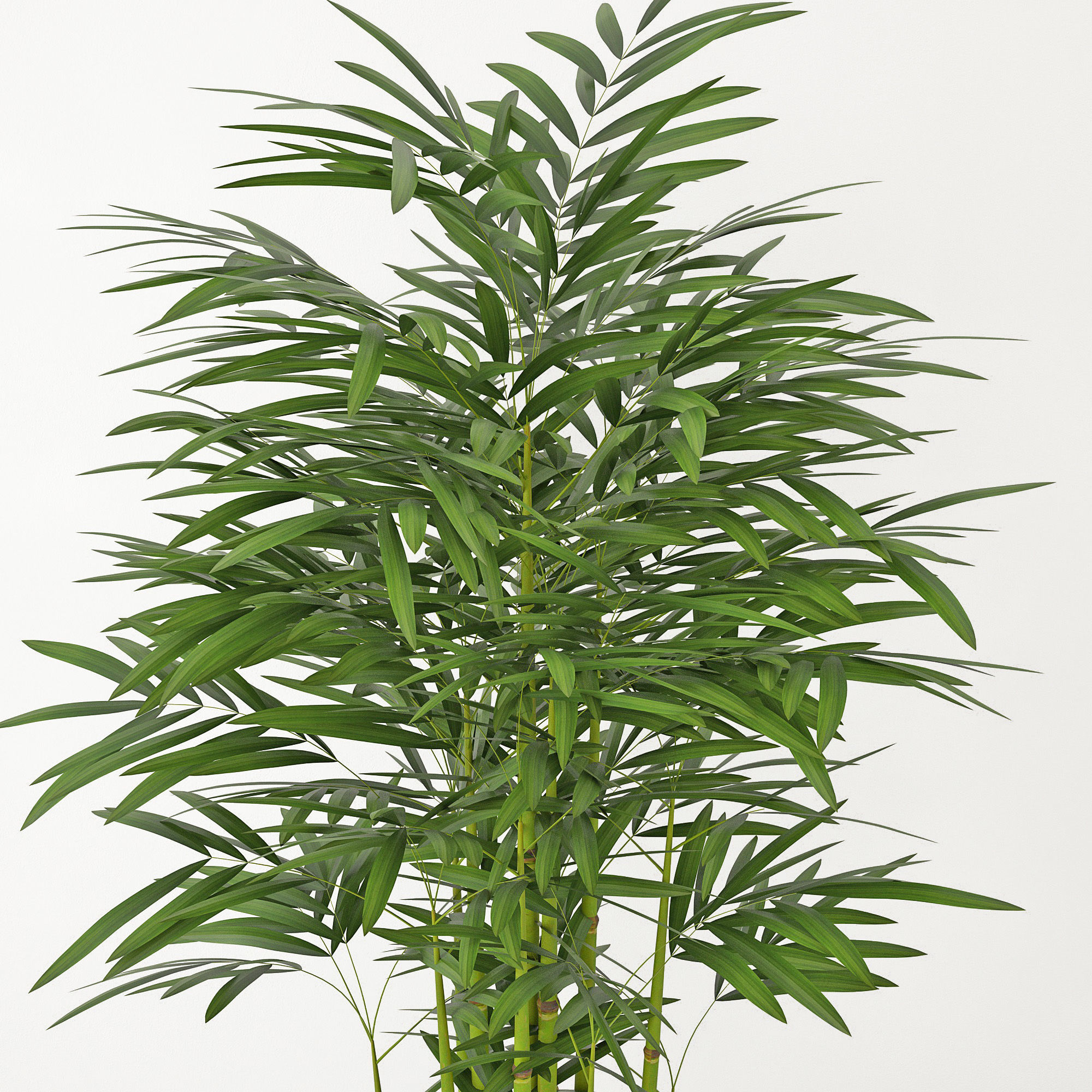 Houseplant 19 3D model_1