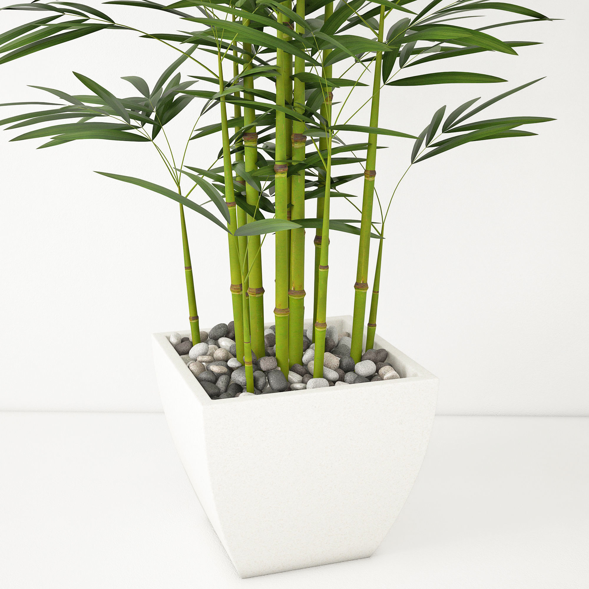 Houseplant 19 3D model_3
