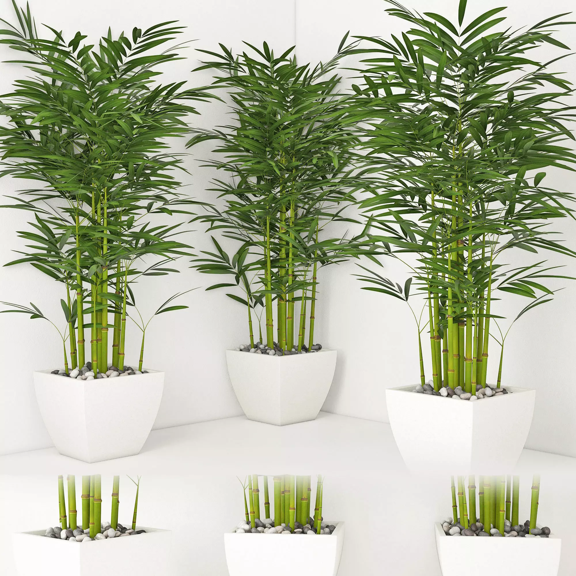 Houseplant 19 3D model_0