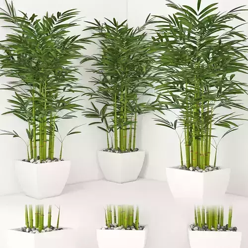 Houseplant 19 3D model