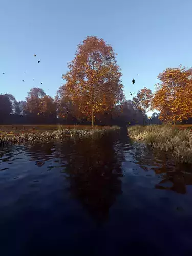  Detailed forest landscape with river 3D model