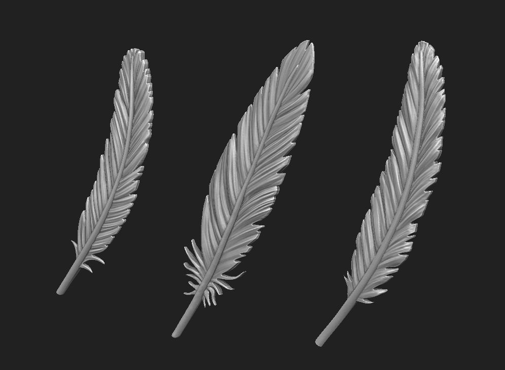 Feather Set six feathers 3D print model_3
