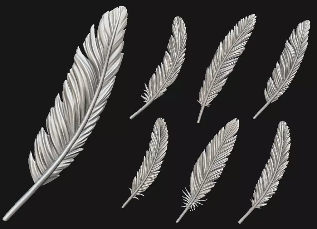 Feather Set six feathers 3D print model_0