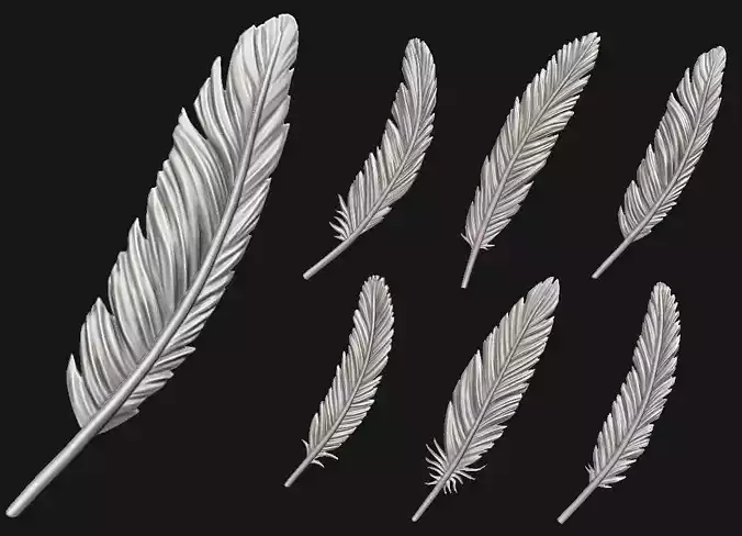 Feather Set six feathers 3D print model
