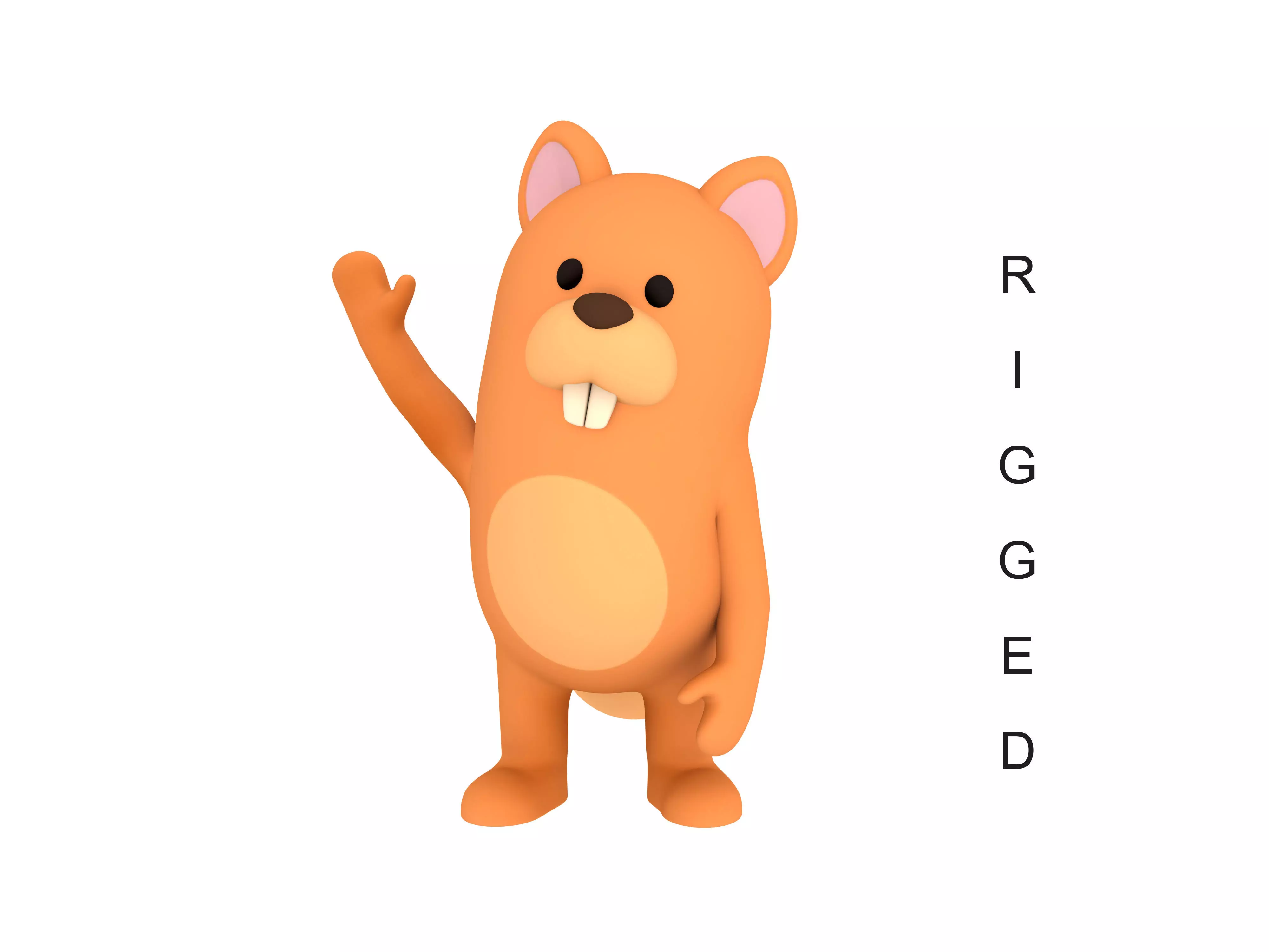 Rigged Cartoon Squirrel 3D model_0