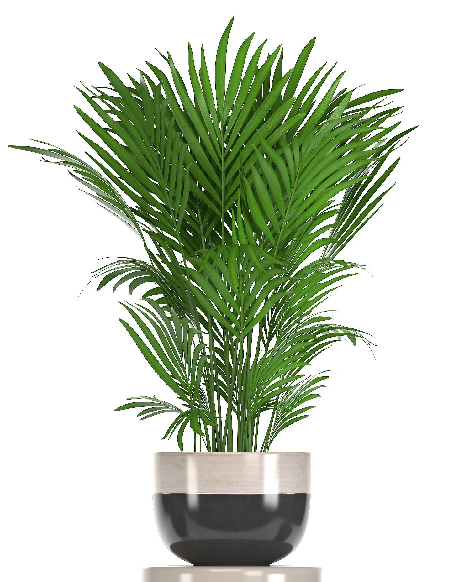 Collection of ornamental plants in pots 3D model_8