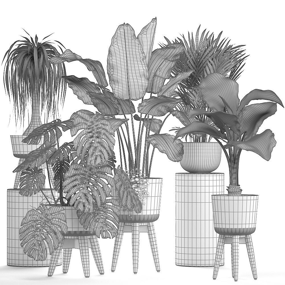 Collection of ornamental plants in pots 3D model_6