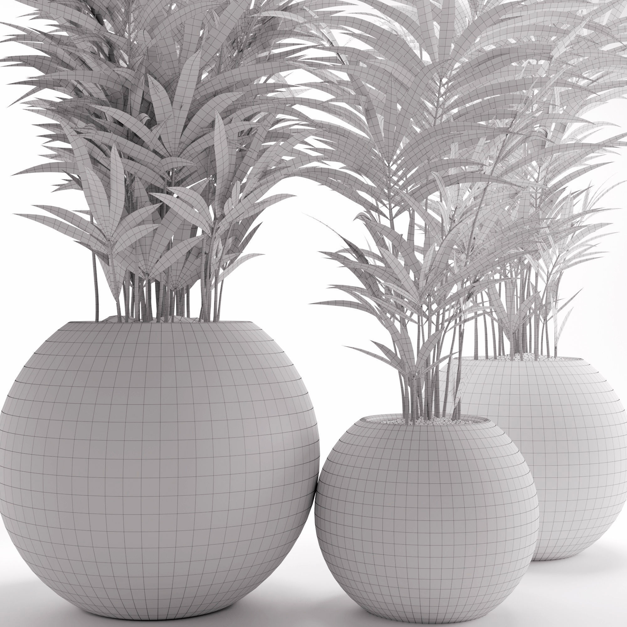 Houseplant 20 3D model_4