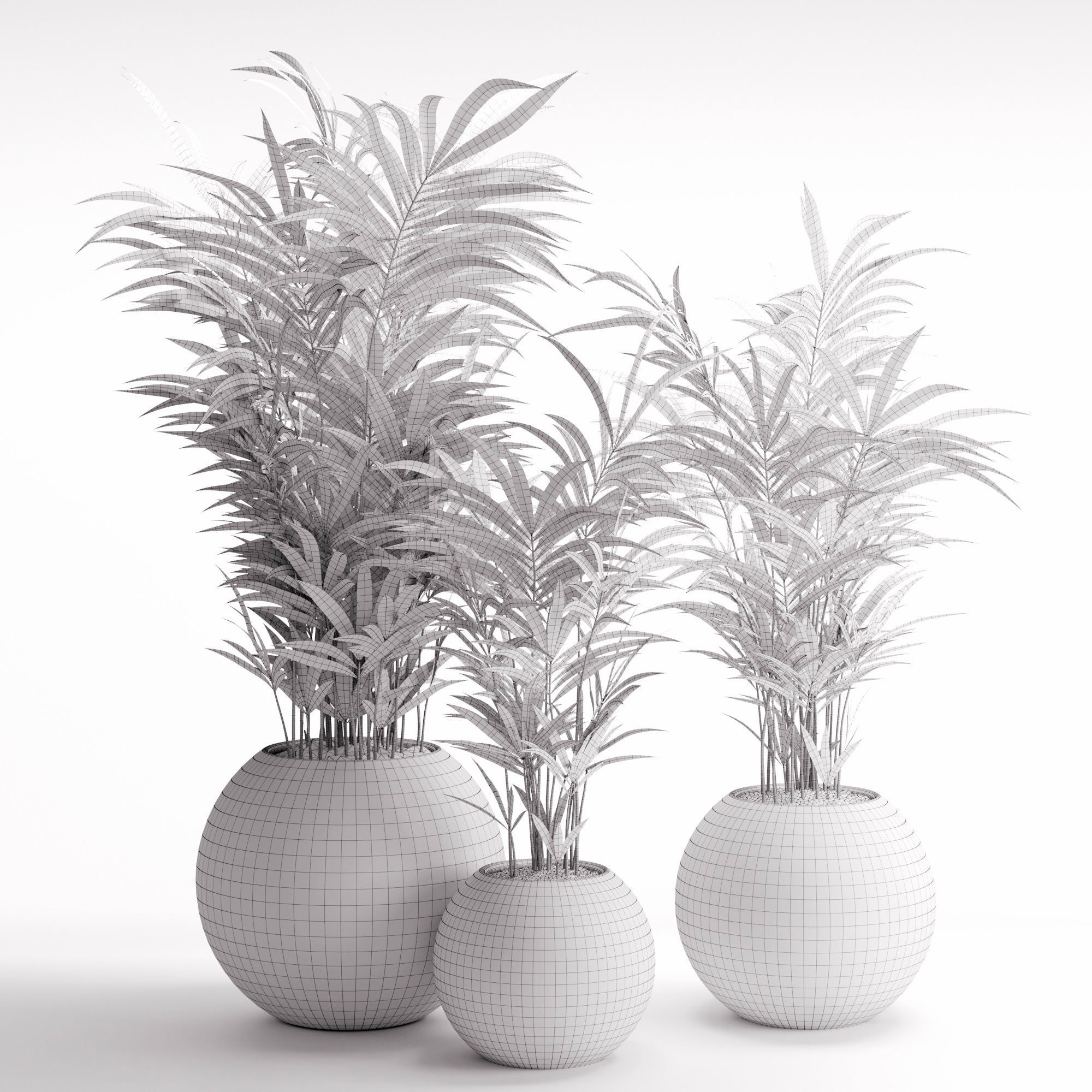 Houseplant 20 3D model_3