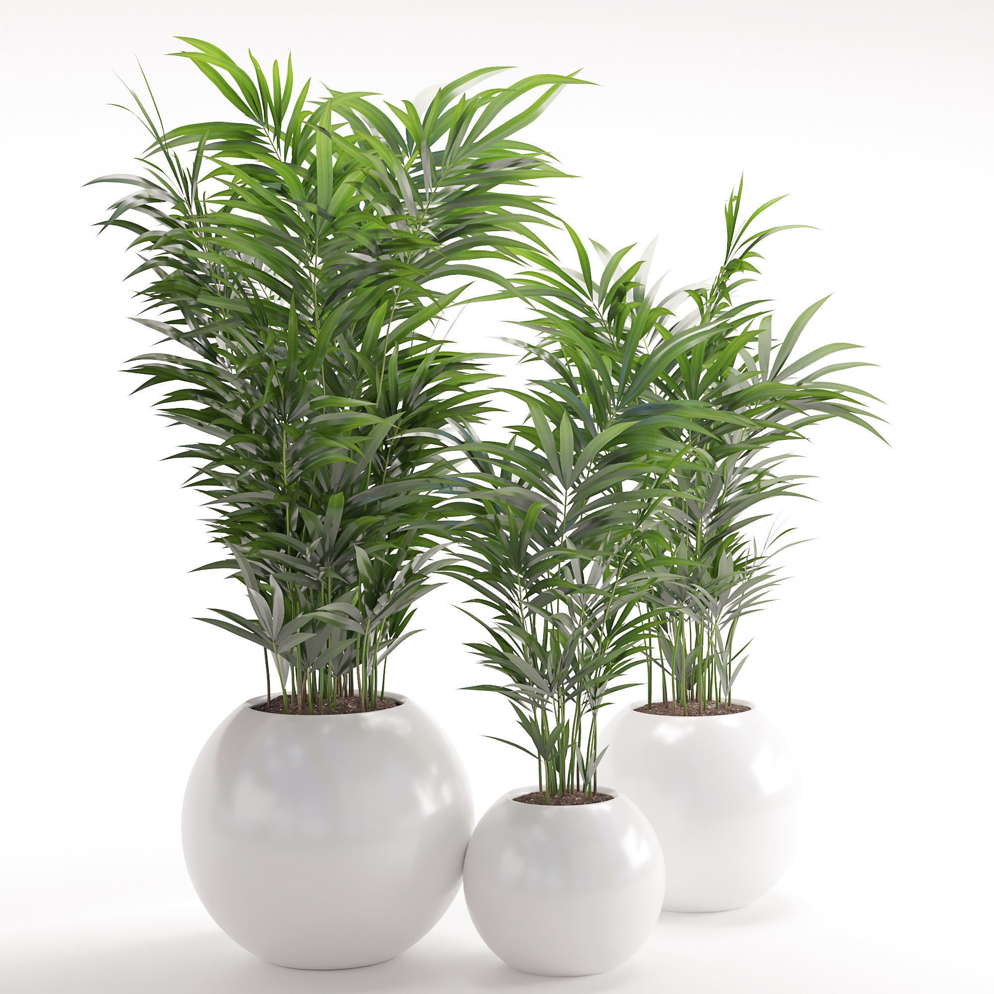 Houseplant 20 3D model_1