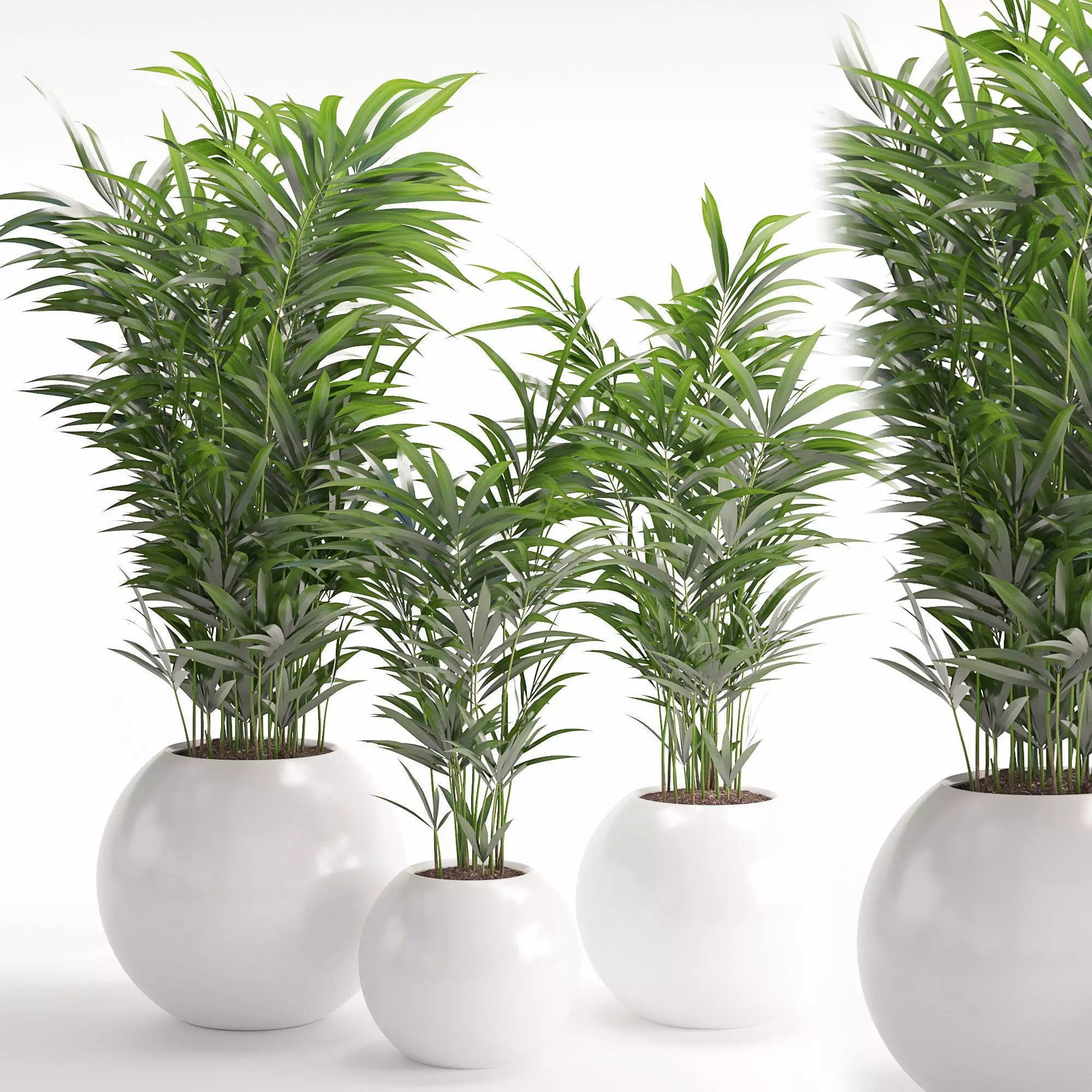 Houseplant 20 3D model_0