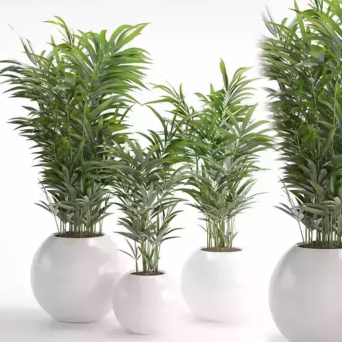 Houseplant 20 3D model Houseplant 20 3D model