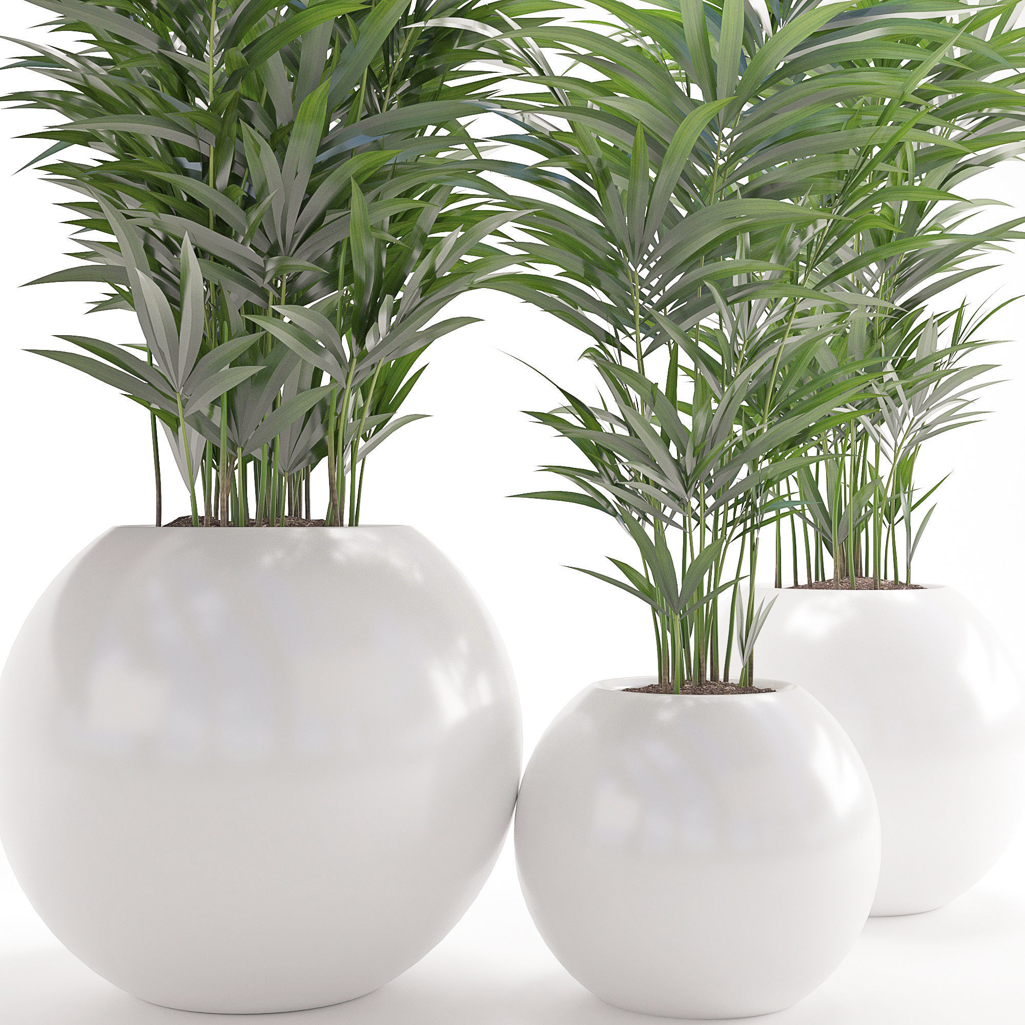 Houseplant 20 3D model_2