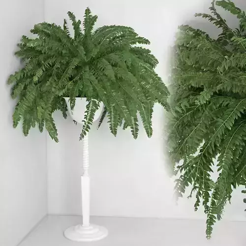 Houseplant 21 3D model
